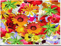 /album/galleria-foto-lista-dei-tag2/fiori-gif/